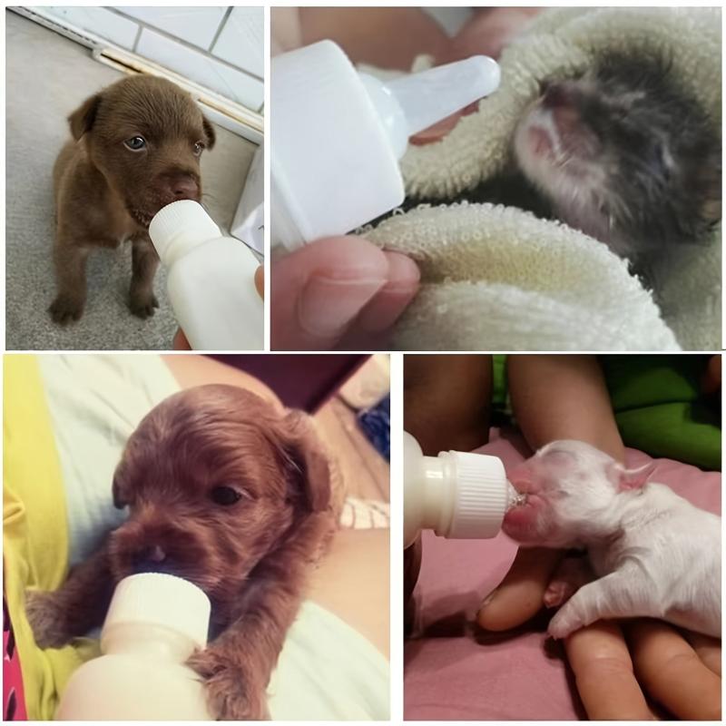 6pcs Pet Nursing Feeder Bottle Kits 50ml Kitten Puppy Milk Feeding Bottle