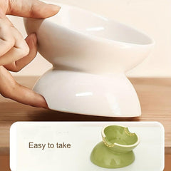 Ceramic Tilted Pet Bowls with Stand for Dogs and Cats