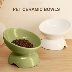 Ceramic Tilted Pet Bowls with Stand for Dogs and Cats