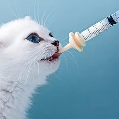 Pet Nursing Bottles Kit for Cats and Dogs Kitten Bottles