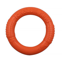 Interactive Pet Toy Dog Training Flying Disc Outdoor Sport Toy