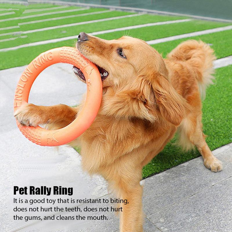 Interactive Pet Toy Dog Training Flying Disc Outdoor Sport Toy
