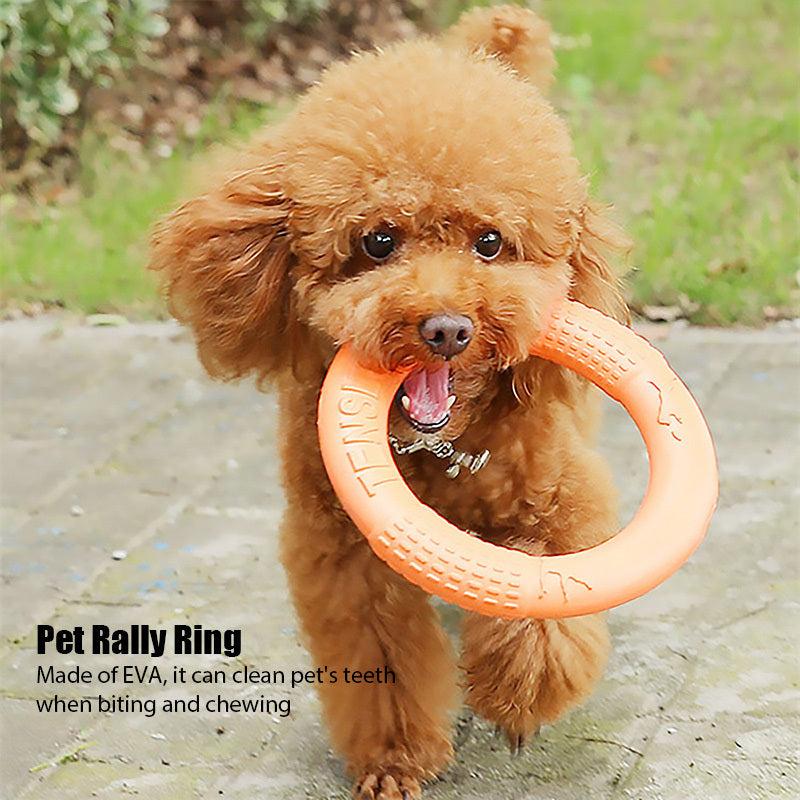 Interactive Pet Toy Dog Training Flying Disc Outdoor Sport Toy