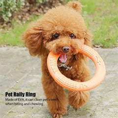 Interactive Pet Toy Dog Training Flying Disc Outdoor Sport Toy