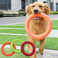 Interactive Pet Toy Dog Training Flying Disc Outdoor Sport Toy