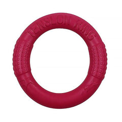 Interactive Pet Toy Dog Training Flying Disc Outdoor Sport Toy