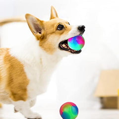 2pcs Luminous Dog Balls Flashing Elastic Balls Interactive Pet Toys