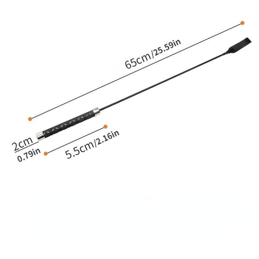 Interactive Flirt Pole Toy for Dogs Outdoor Exercise and Training