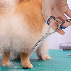 Pet Grooming Scissors Set with Safety Round Tip Stainless Steel Shears