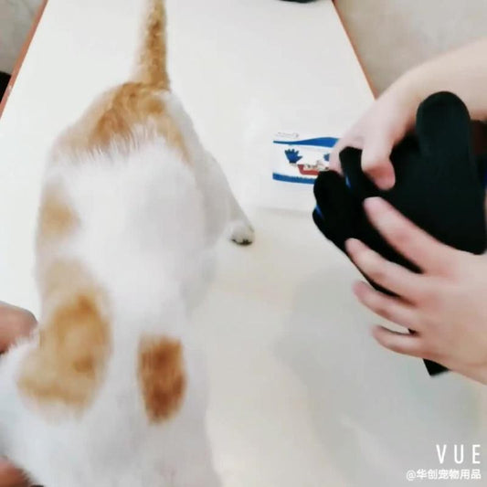 Dog Hair Removal Glove Undercoat Hair Removal Slicker Brush
