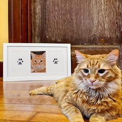 Pet Paw Print Kit - Clean Touch Ink Pad and Imprint Cards for Cats
