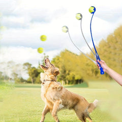 Interactive Dog Fetch Toy Sport Launcher Ball Thrower