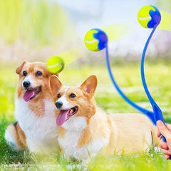 Interactive Dog Fetch Toy Sport Launcher Ball Thrower