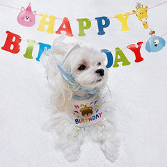 Pet Birthday Hat And Bandana Set Cat Birthday Hat And Bib For Party