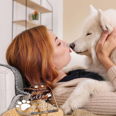Pet Memorial Gift Loss Of Dog Sympathy Gift Cat Memorial Condolence