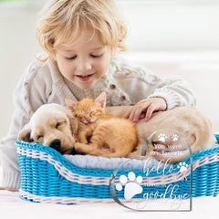 Pet Memorial Gift Loss Of Dog Sympathy Gift Cat Memorial Condolence