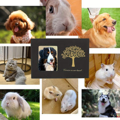 Tree Of Life Pattern Pet Urn Wooden Pet Cremation Urn Photo Box