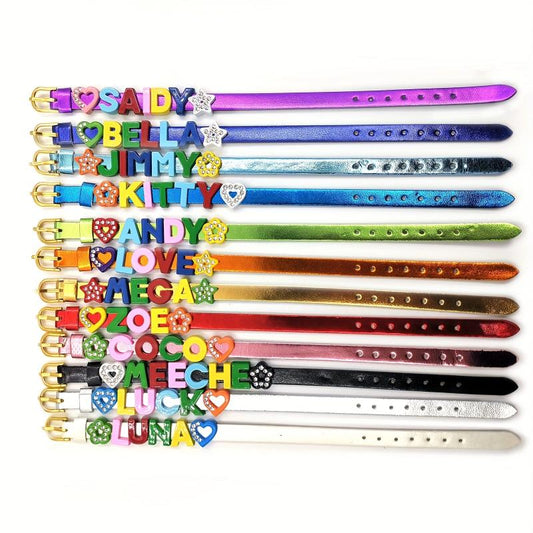 Personalized Pet Memorial Bracelet with Rhinestone Letters - Up to 10 Characters