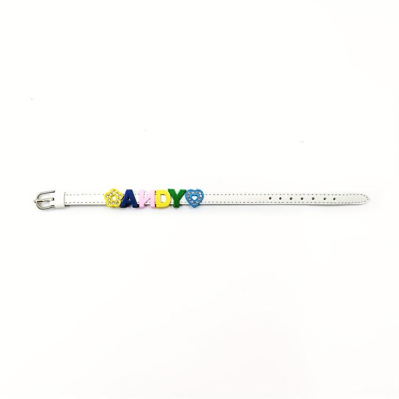 Custom Pet Memorial Bracelet - Colorful Letter String Style -