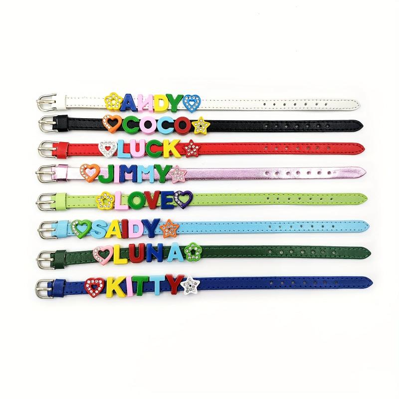 Custom Pet Memorial Bracelet with Colorful Letters