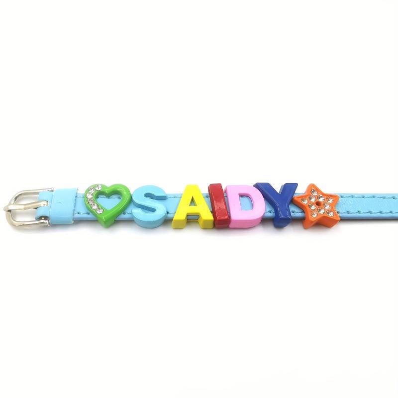 Custom Pet Memorial Bracelet with Colorful Letters