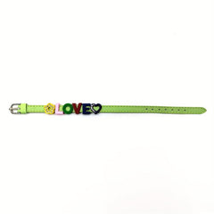 Personalized Light Green Pet Memorial Bracelet with Colorful Letters