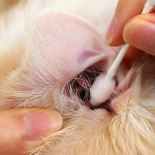 55pcs Dual-Ended Pet Ear Cleaning Swabs For Dogs & Cats