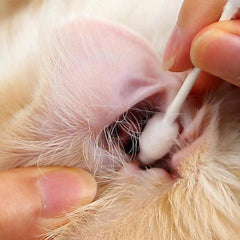 55pcs Dual-Ended Pet Ear Cleaning Swabs For Dogs & Cats