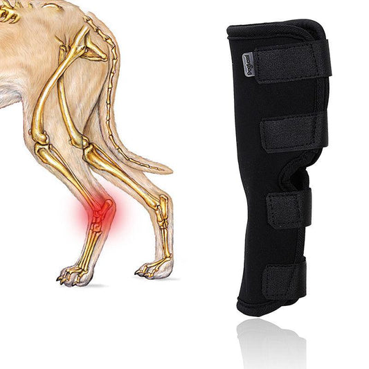 Dog Support Leg Brace Protective Elbow Knee Pad Pet Bandage
