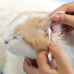 Pet Cotton Swabs Double Tipped Cotton Swabs With Paper Sticks Cotton Swabs