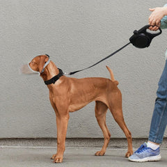 Adjustable Dog Muzzle for Small Medium Large Dogs