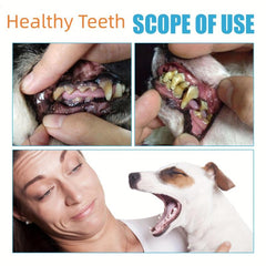Minty Fresh Dog Toothpaste for Clean Teeth