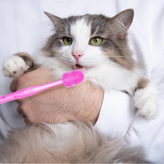 Pet Toothbrush For Dog And Cat Soft Silicone Bristles Tooth Brush