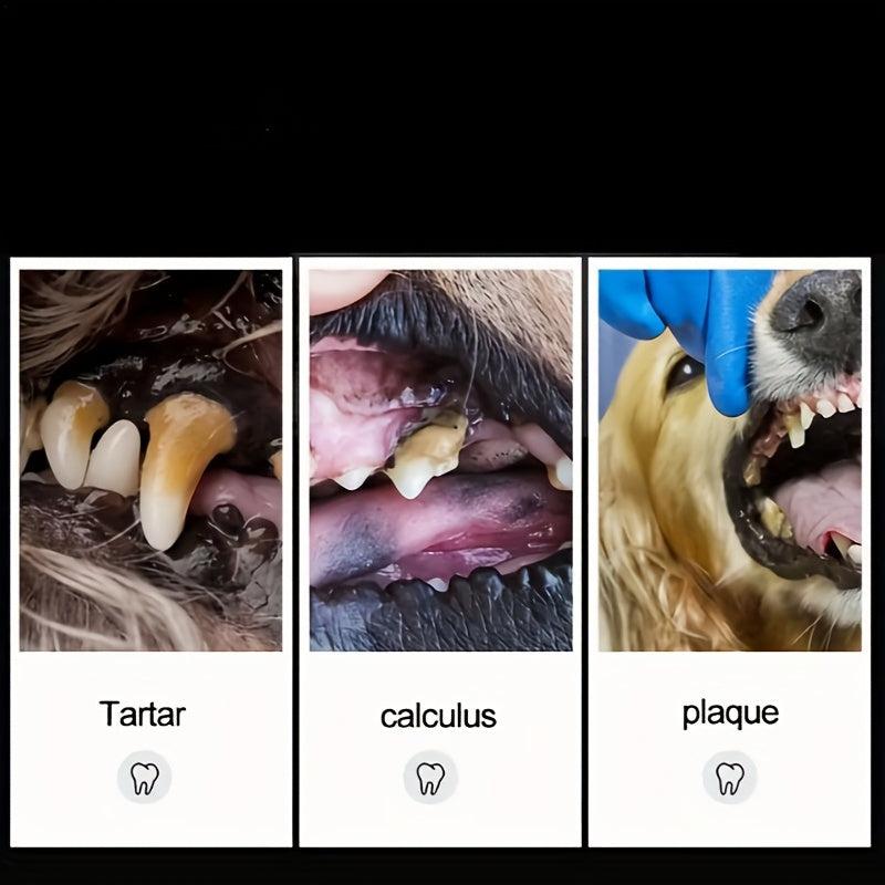 2pc Pets Teeth Cleaning Tools Double Sided Dogs Cats Tartar Remover Dental Stone