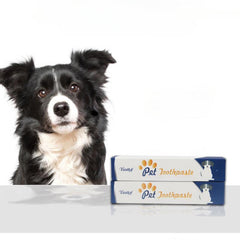 Dog Toothpaste Beef Vanilla Flavor Dental Care