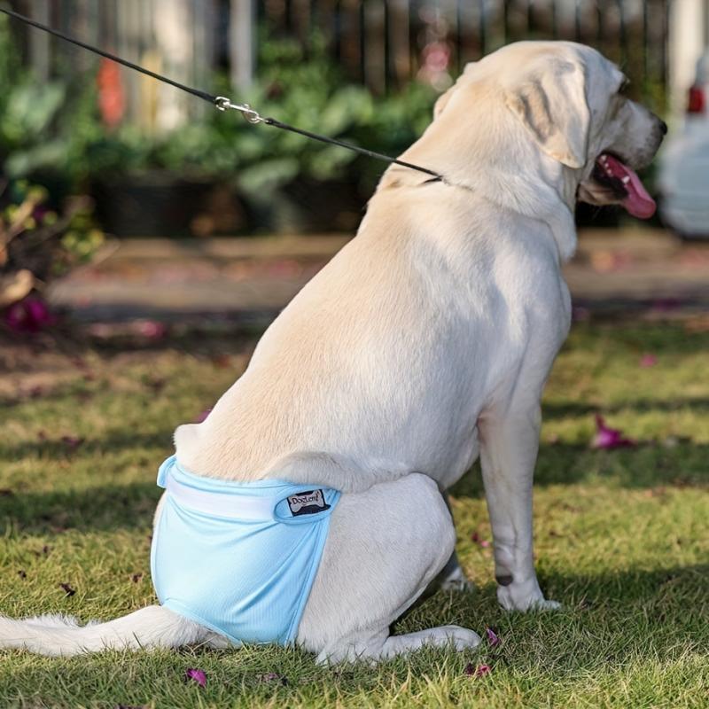 Washable Anti-harassment Female Dog Diapers High Absorbency Leak Proof