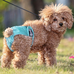 Washable Anti-harassment Female Dog Diapers High Absorbency Leak Proof