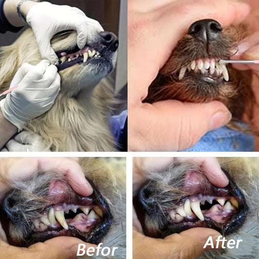 Pet Teeth Cleaning Tools Double Headed Dog Dental Cleaning Scraper