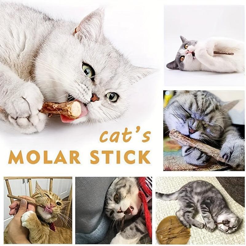 5pcs Cat Teeth Grinding Sticks Dental Care for Cats