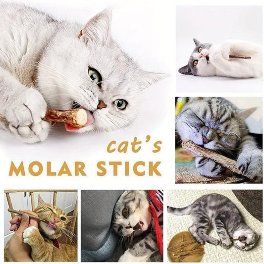 5pcs Cat Teeth Grinding Sticks Dental Care for Cats