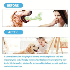 Dog Toothpaste 60g for Fresh Breath & Tartar Removal