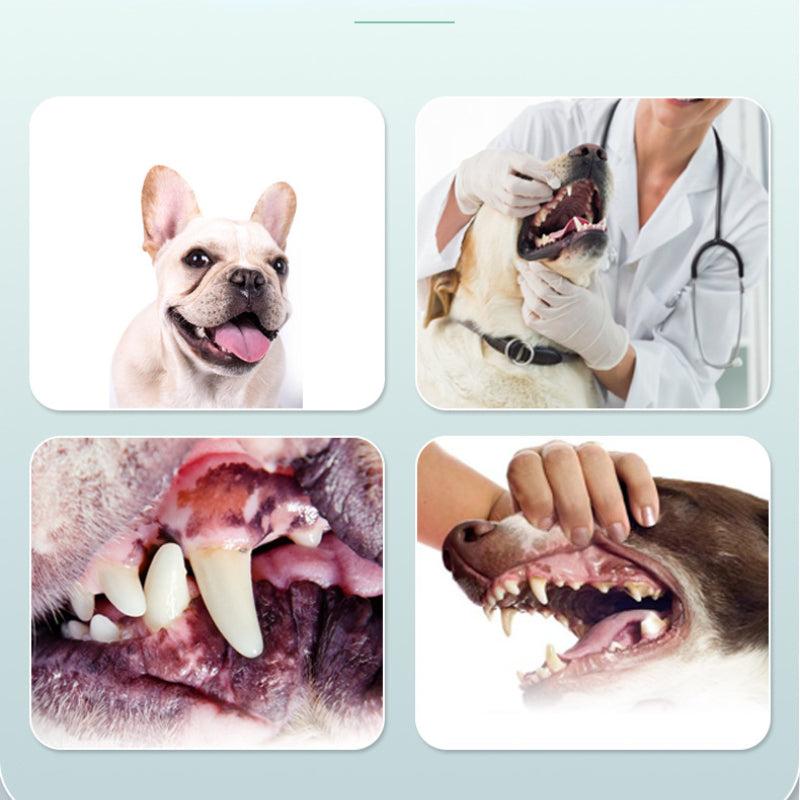 Vanilla Beef Flavor Dog Toothpaste & Soft Bristle Pet Toothbrush