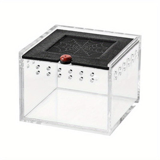 Acrylic Reptile Terrarium Cage for Insects and Lizards