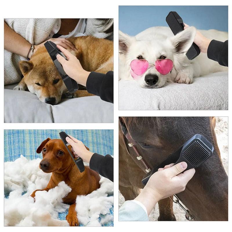 Pro Horse Grooming Massage Kit Pet Neat Comb Shedding Hair Face Cleaning