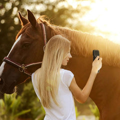 Pro Horse Grooming Massage Kit Pet Neat Comb Shedding Hair Face Cleaning