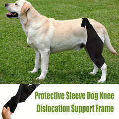 Dog Elbow and Leg Brace Sleeve L Stop Licking Joints
