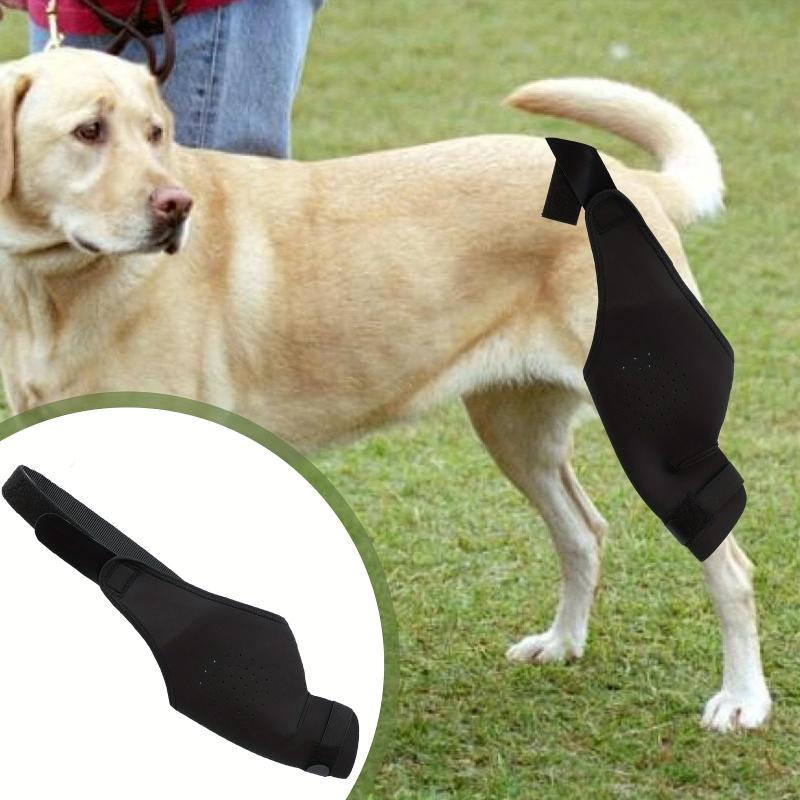 Dog Elbow and Leg Brace Sleeve L Stop Licking Joints