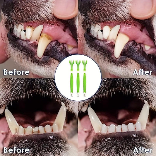 Triple Head Dog Toothbrush for Teeth Care 3PCS