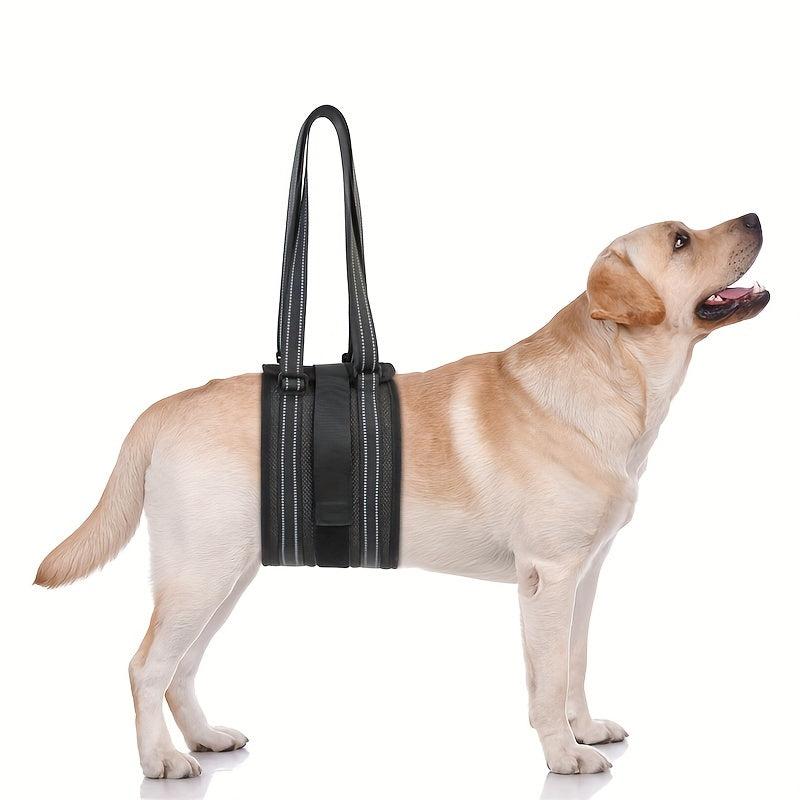Dog Lift Harness For Seniors And Disabled Dogs