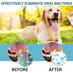 100ml Pet Oral Cleaning Care Spray - Dogs and Cats